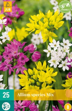 Bloembollen|Ecocheques|ohgreen 25 allium species mix