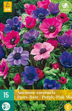 Bloembollen|Ecocheques|ohgreen 15 bloembollen anemone coronaria paars-roze mix