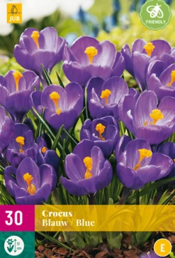 Bloembollen|Ecocheques|ohgreen 30 crocus blauw