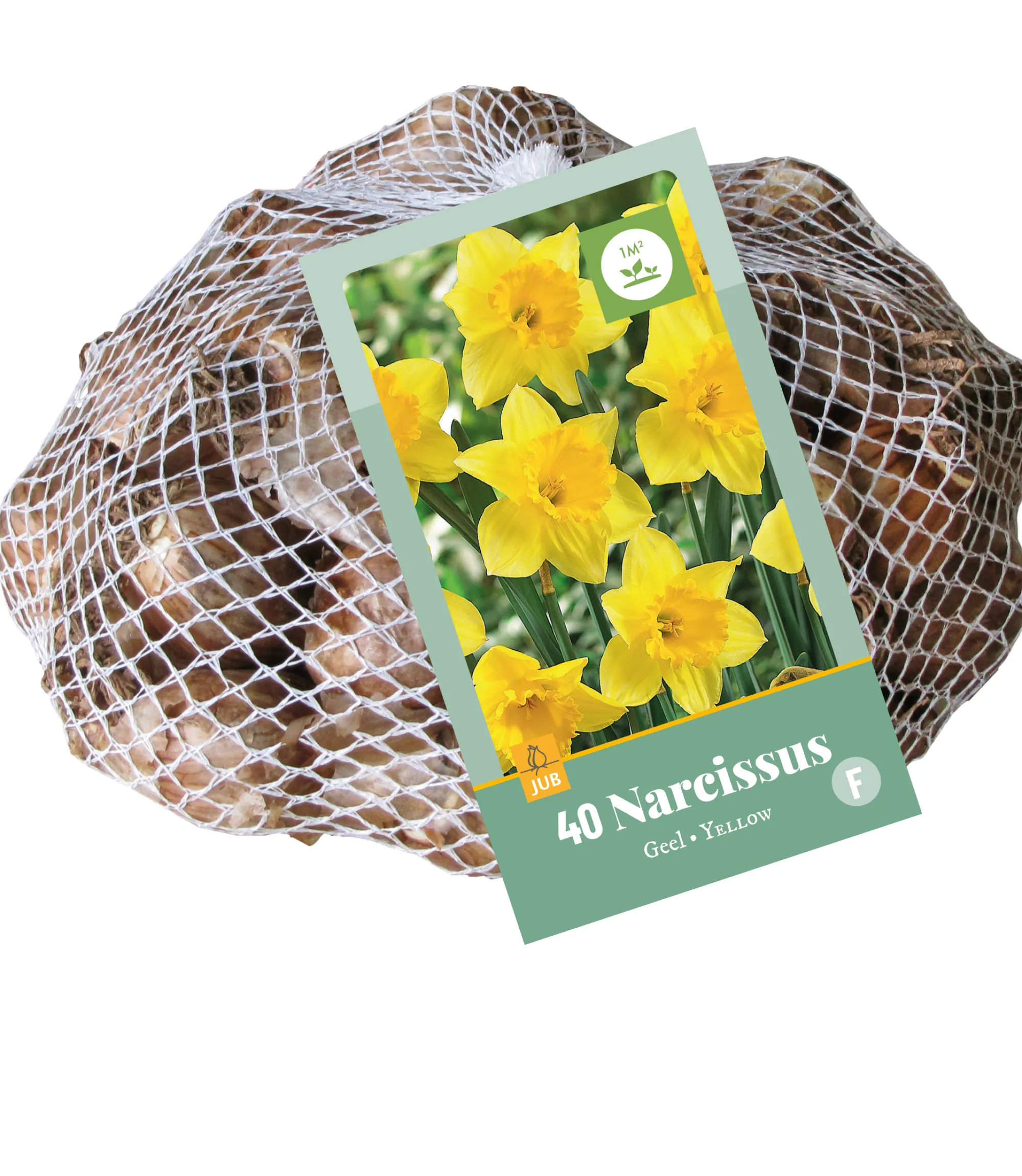 Bloembollen|Ecocheques|ohgreen 40 narcissus geel