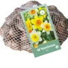 Bloembollen|Ecocheques|ohgreen 40 narcissus mix