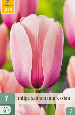 Bloembollen|Ecocheques|ohgreen 7 tulipa salmon impression