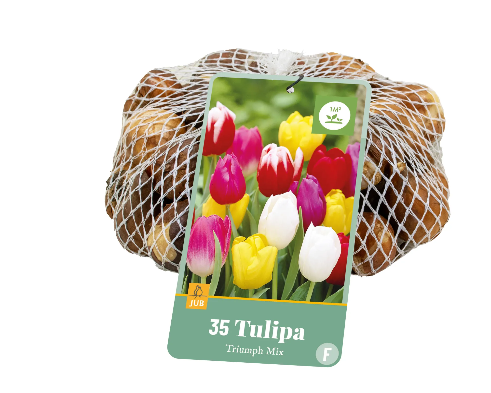 Bloembollen|Ecocheques|ohgreen 35 tulipa triumph mix