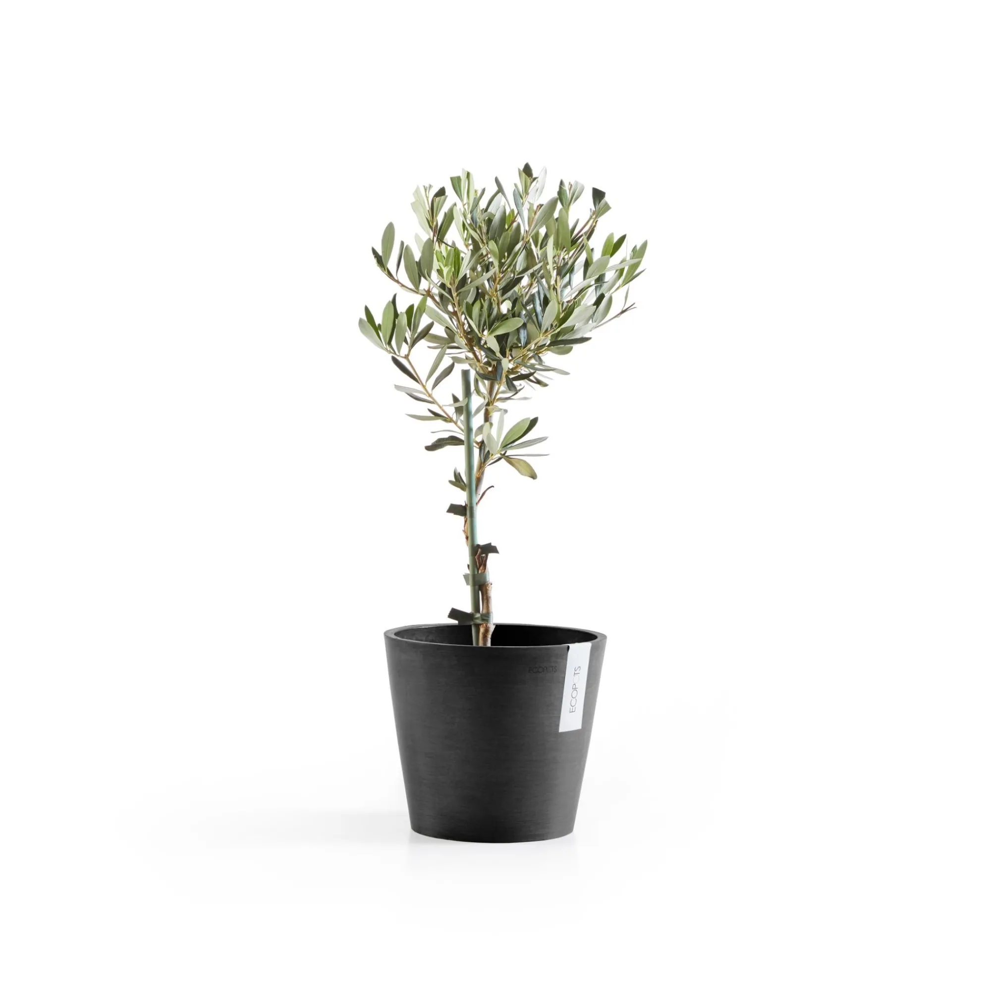 Kunststof|Ecocheques|ohgreen Amsterdam 20cm donkergrijs met waterreservoir
