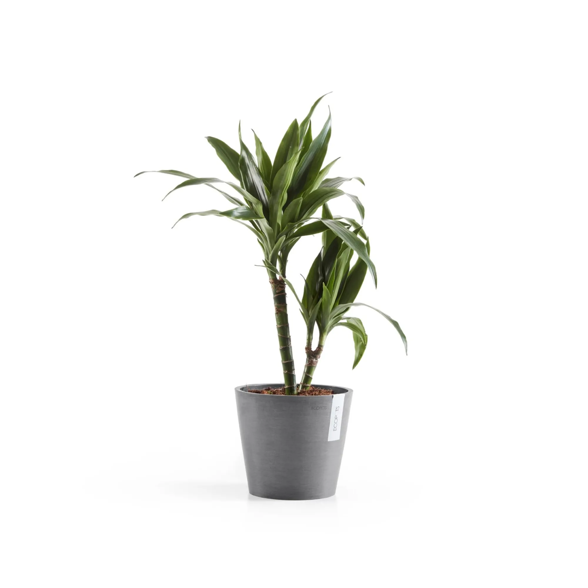 Kunststof|Ecocheques|ohgreen Amsterdam 20cm grijs met waterreservoir