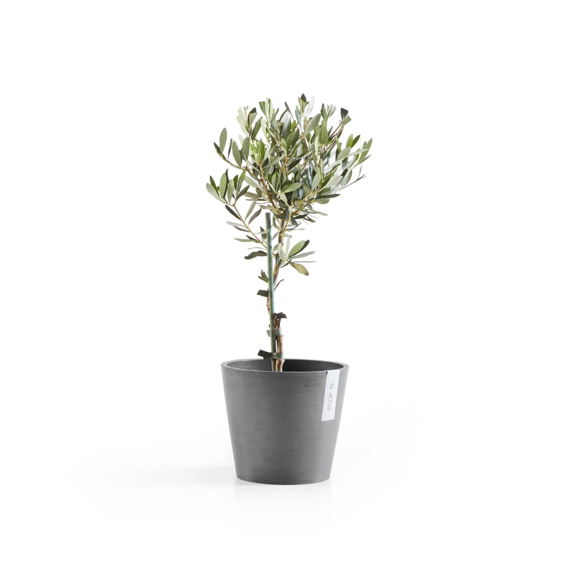 Kunststof|Ecocheques|ohgreen Amsterdam 20cm grijs met waterreservoir
