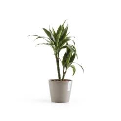 Kunststof|Ecocheques|ohgreen Amsterdam 20cm taupe met waterreservoir