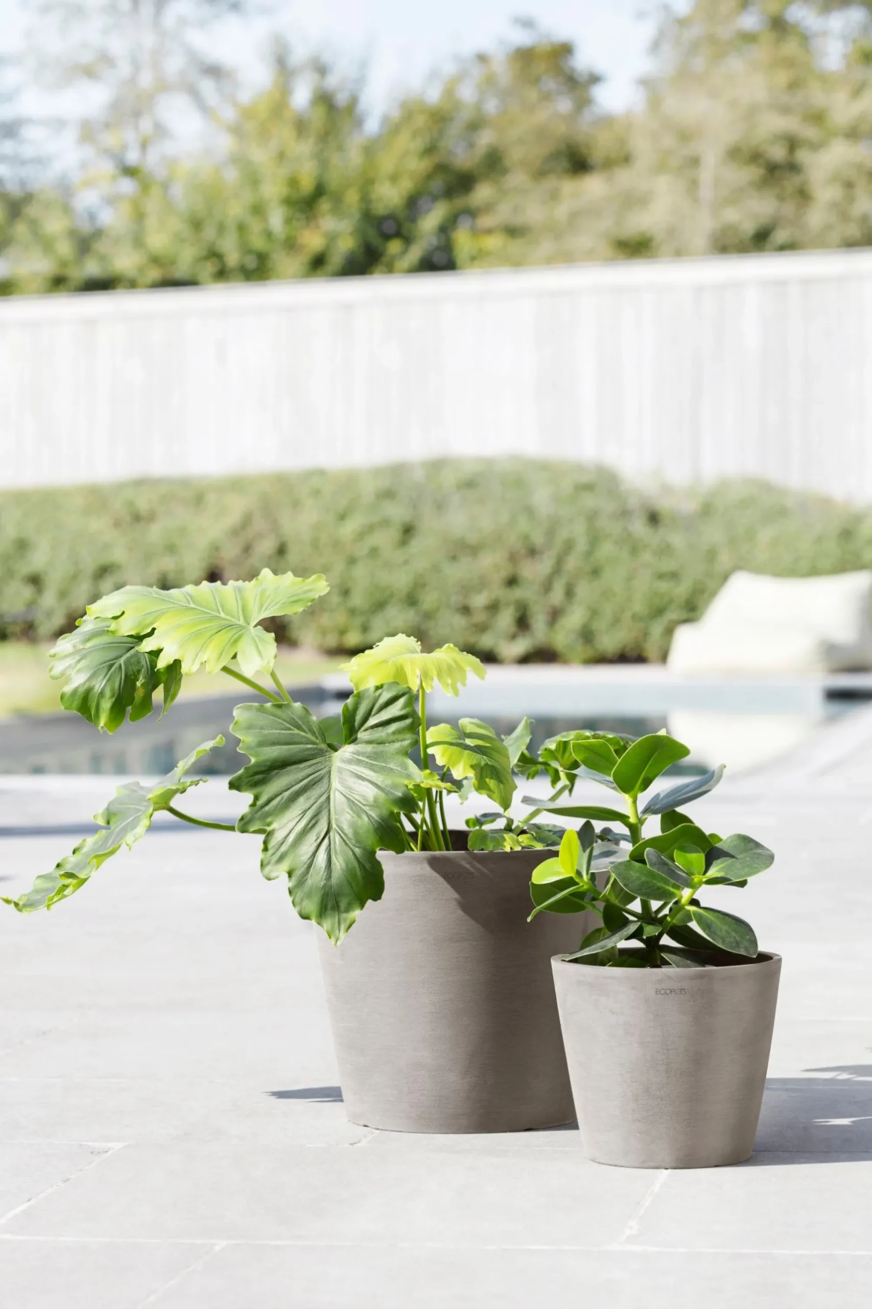 Kunststof|Ecocheques|ohgreen Amsterdam 20cm taupe met waterreservoir