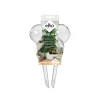 Bewatering|Ecocheques|ohgreen AQUA CARE TRANSPARANT
