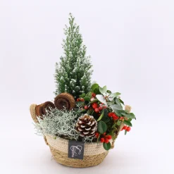 Najaar|Ecocheques|ohgreen Arrangement Gaultheria creatie
