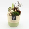 Najaar|Ecocheques|ohgreen Arrangement kerst Amaryllis