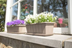 Kunststof|Ecocheques|ohgreen Balkonbak Super 50 cm Taupe