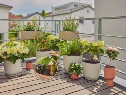 Bewatering|Ecocheques|ohgreen Bewatering Balkon Set