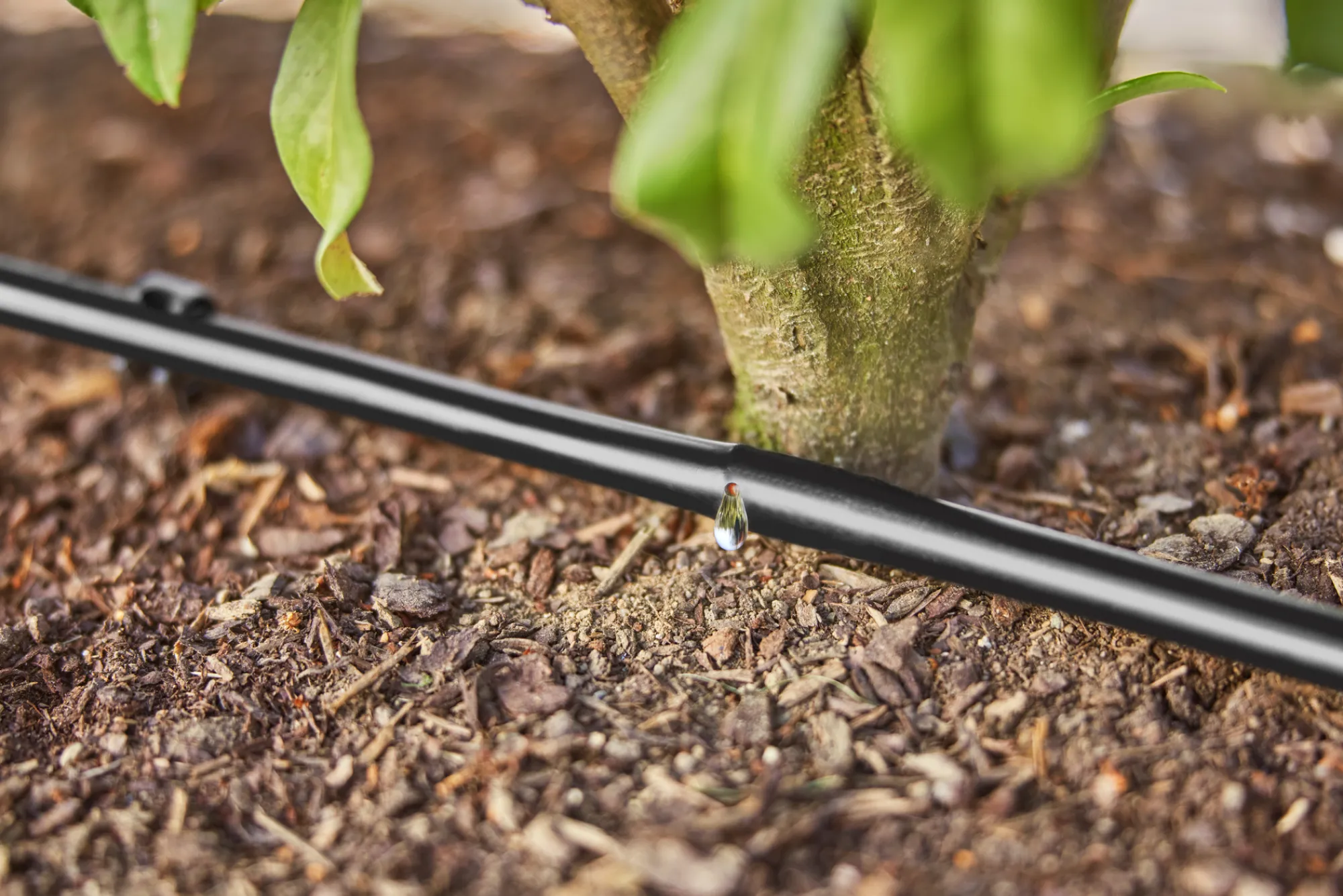 Bewatering|Ecocheques|ohgreen Bewatering heggen of struiken set