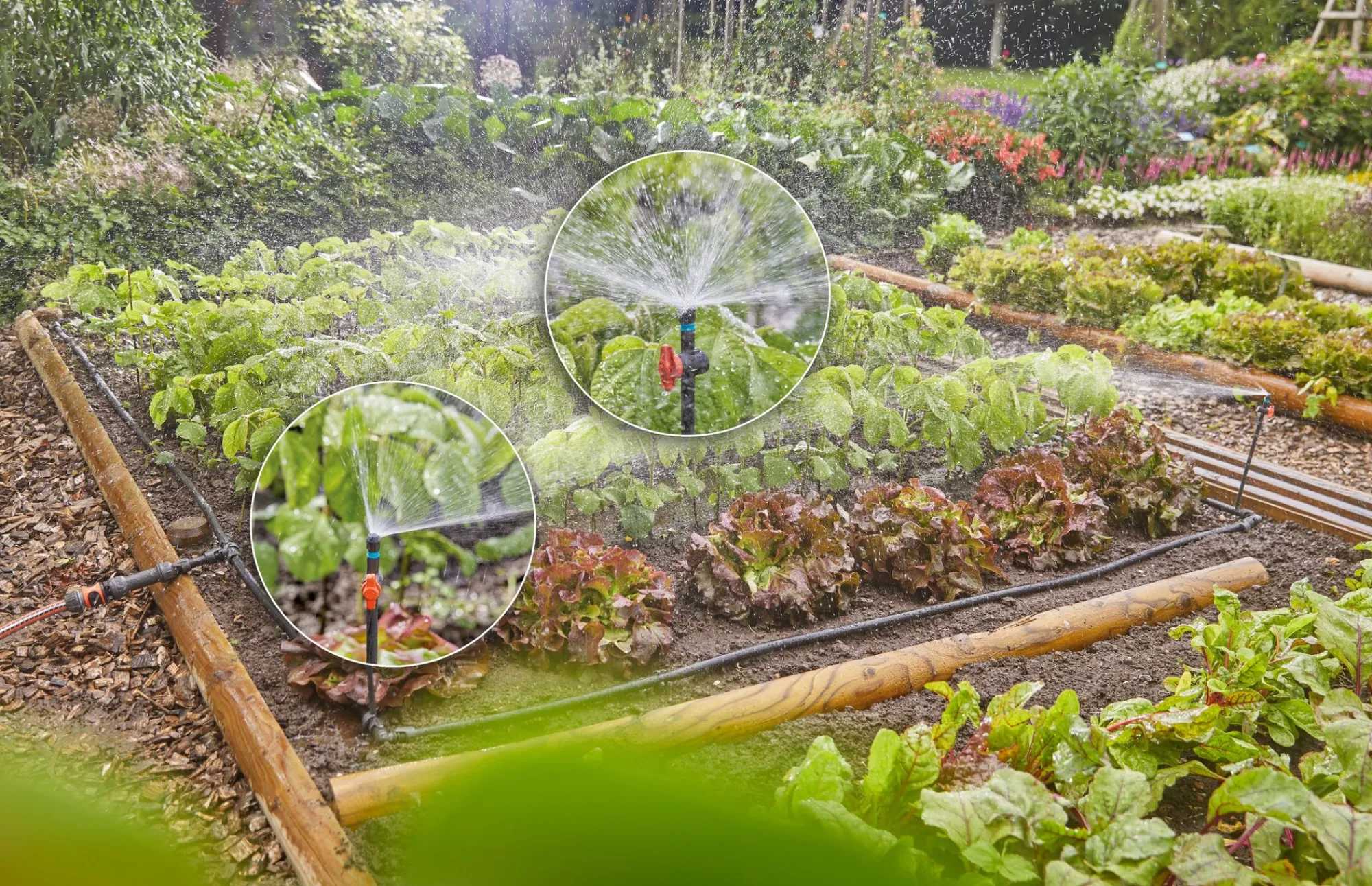 Bewatering|Ecocheques|ohgreen Bewatering moestuin/bloembed Set