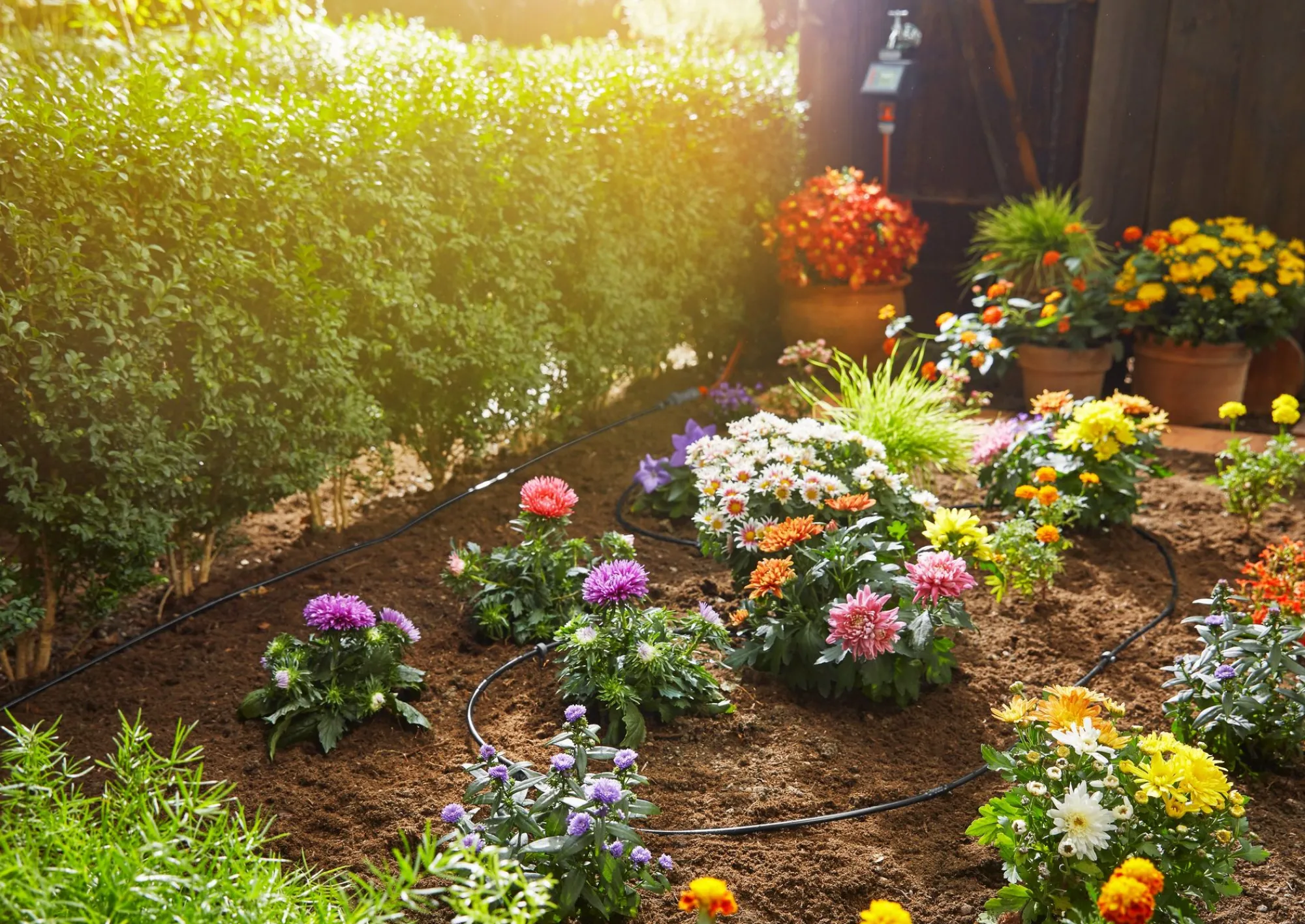 Bewatering|Ecocheques|ohgreen Bewateringsset voor gewassen- of plantenrijen van 15m