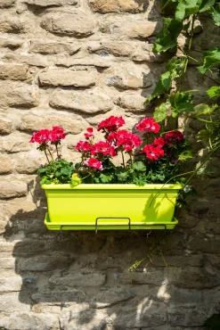 Kunststof|Ecocheques|ohgreen Bloembak relax 50x20h16 lime