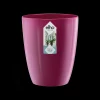 Kunststof|Ecocheques|ohgreen Diamond orchidee hoog 12,5cm