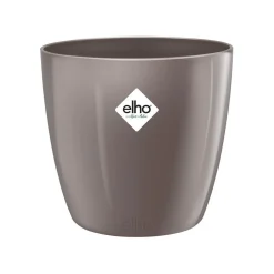 Ecocheques|Potten En Vazen|ohgreen Diamond orchidee hoog 20cm
