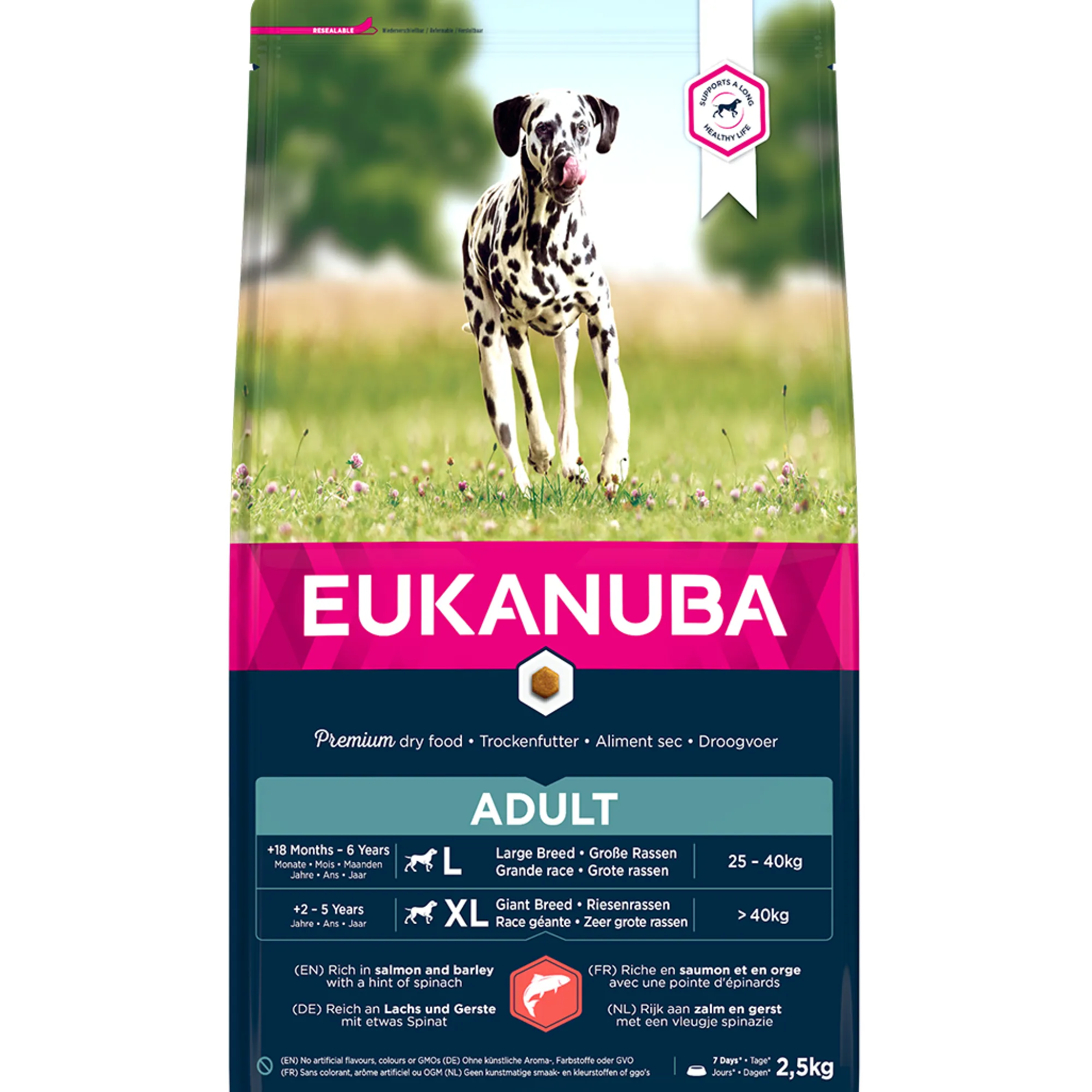 Hond Voeding|Werelddierendag|ohgreen Dog adult large salmon