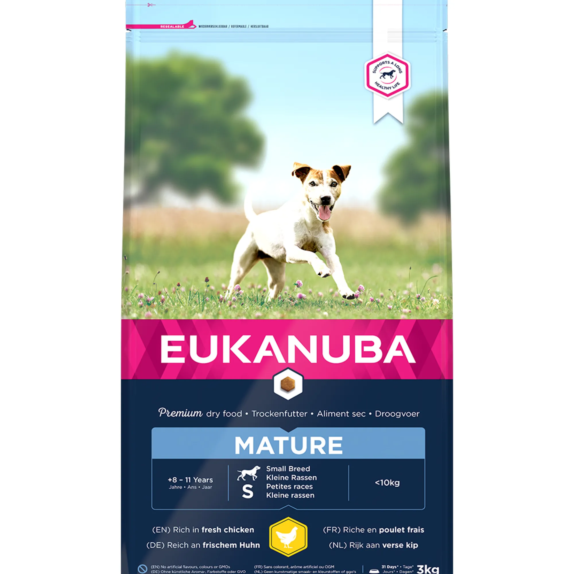 Hond Voeding|Werelddierendag|ohgreen Dog thriving mature small breed