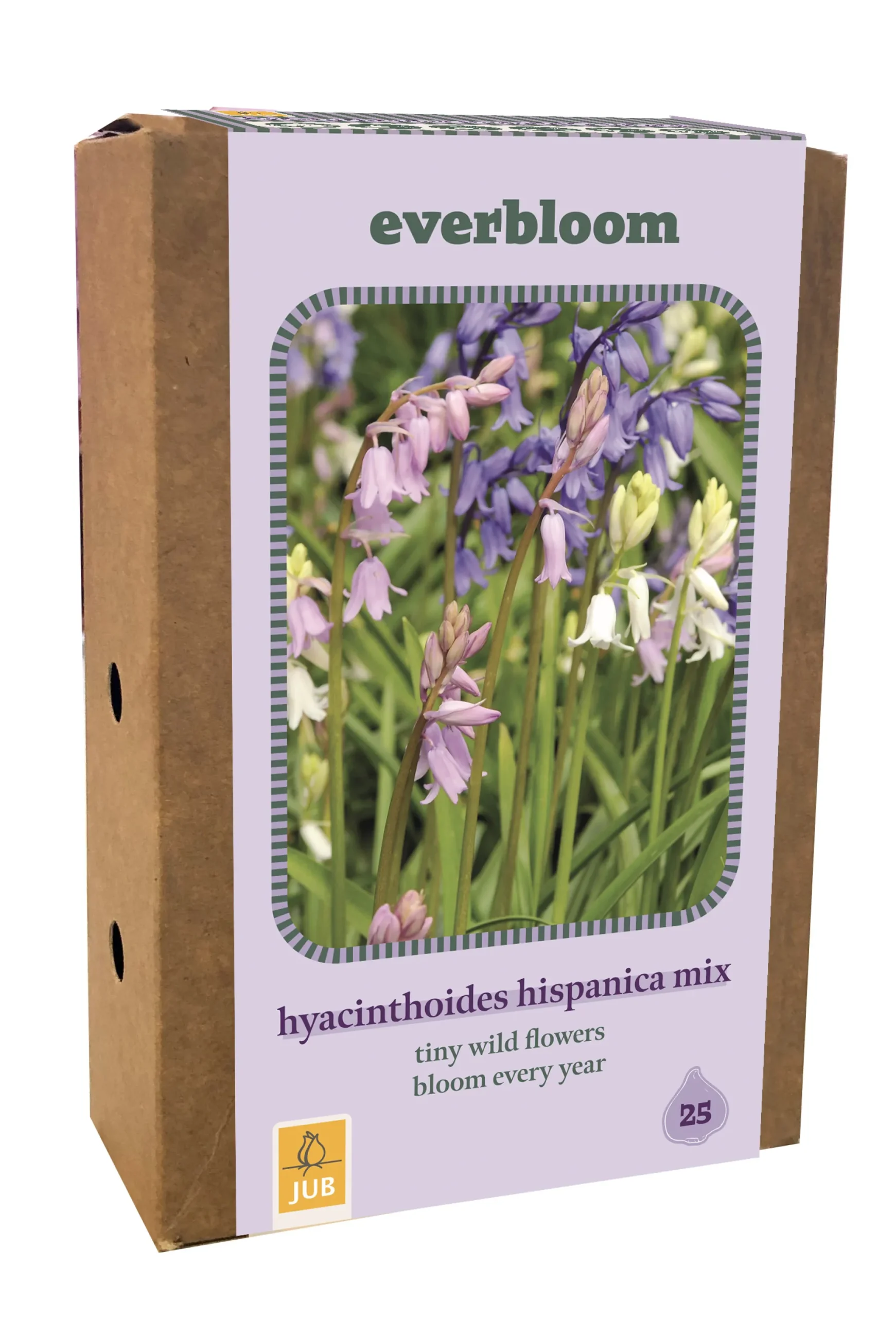 Ecocheques|Bloembollen|ohgreen Doos 'everbloom' met 25 bloembollen hyacinthoides hisp. mix