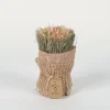Sfeermakers|ohgreen Droogbloemen