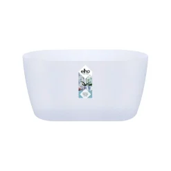 Ecocheques|Potten En Vazen|ohgreen Duo orchidee 25cm