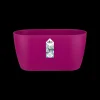Ecocheques|Potten En Vazen|ohgreen Duo orchidee 25cm