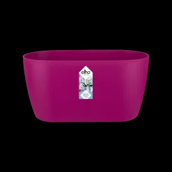 Ecocheques|Potten En Vazen|ohgreen Duo orchidee 25cm