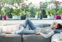 Ecocheques|Potten En Vazen|ohgreen Duo orchidee 25cm