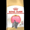 Kat Voeding|Werelddierendag|ohgreen Fbn kitten british shorthair 2kg