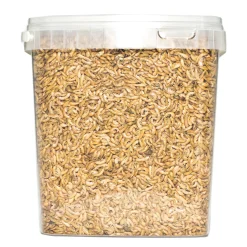 Voeding|ohgreen Gammarus 8 mm. 5 liter