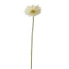 Sfeermakers|ohgreen Gerbera creme 56 cm