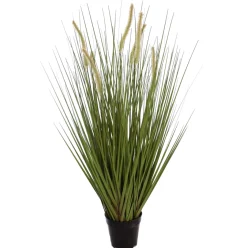 Sfeermakers|ohgreen Gras m/kattest pot 92cm groen