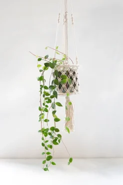 Potten En Vazen|ohgreen Hanger Curtis