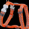 Hals-En Leibanden|ohgreen Harnas rd snake eyes -xs