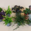 Najaar|Ecocheques|ohgreen Herfstmix