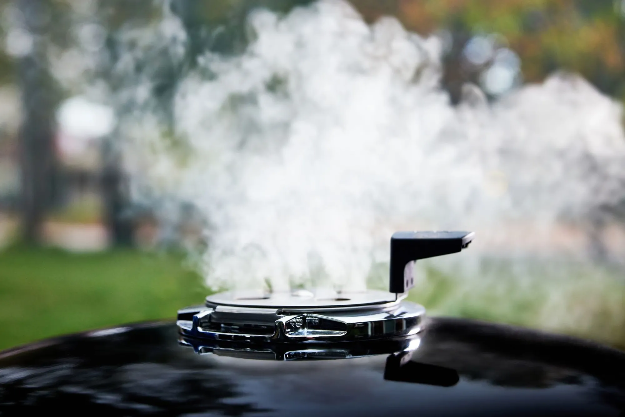 Bbq|ohgreen Houtskoolbarbecue Summit Kamado E-6, Black