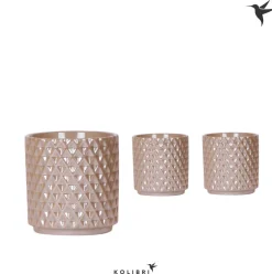 Vaste Planten|Ecocheques|ohgreen Kolibri home Diam pearl potje