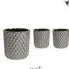 Vaste Planten|Ecocheques|ohgreen Kolibri home diam silver potje