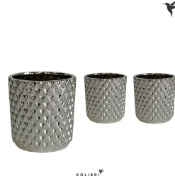 Vaste Planten|Ecocheques|ohgreen Kolibri home diam silver potje