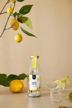 Apéro Moment|Drank|ohgreen Limoncello