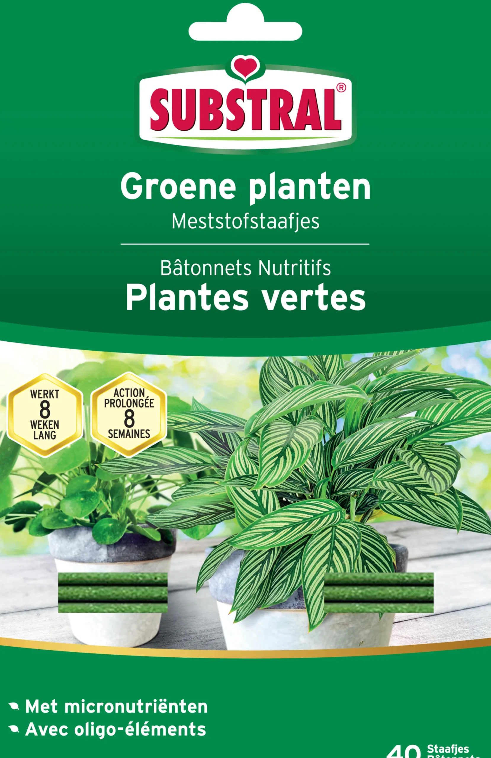 Meststoffen|Ecocheques|ohgreen Meststofstaafjes voor groene planten 40 stuks