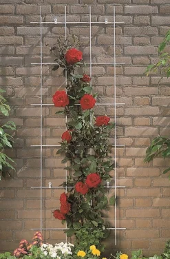 Bind En Steun|Ecocheques|ohgreen Metalen klimrek groen