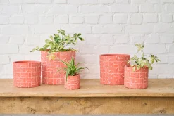 Potten En Vazen|ohgreen MINIPOT D8 METRIC KORAAL
