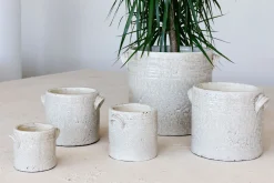 Potten En Vazen|ohgreen Minipot dune