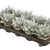 Composities En Terrariums|Ecocheques|ohgreen Miranda coloured silver