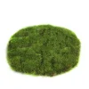 Sfeermakers|ohgreen Mosschijf marchantiophyta xs