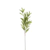 Sfeermakers|ohgreen Olijf branche groen - l85cm